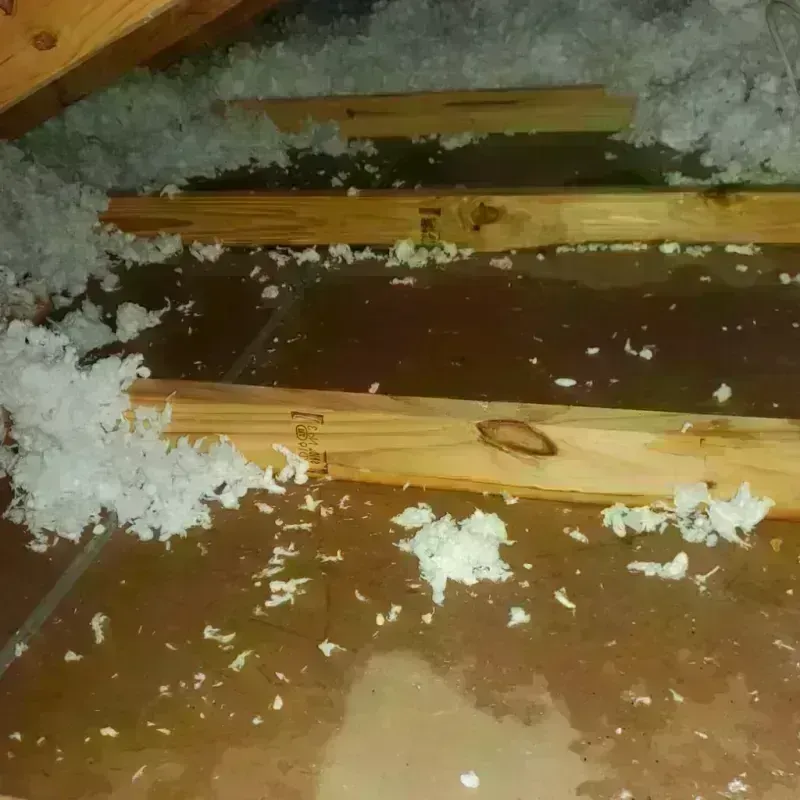 Attic Water Damage in Stansbury park, UT